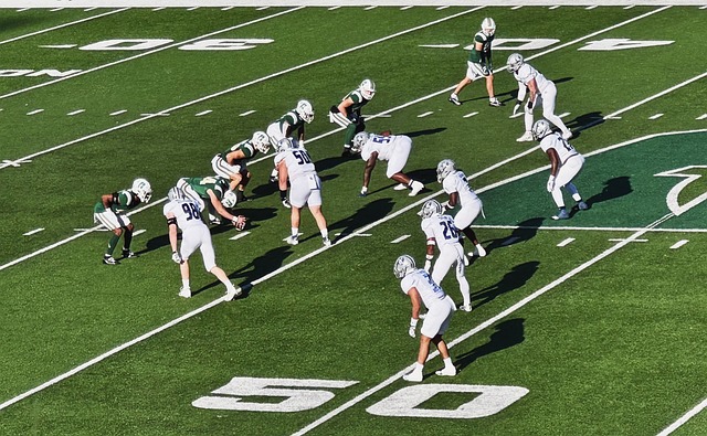 果的揭晓 果的揭晓