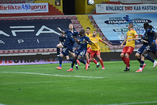 和能力书写 和能力书写