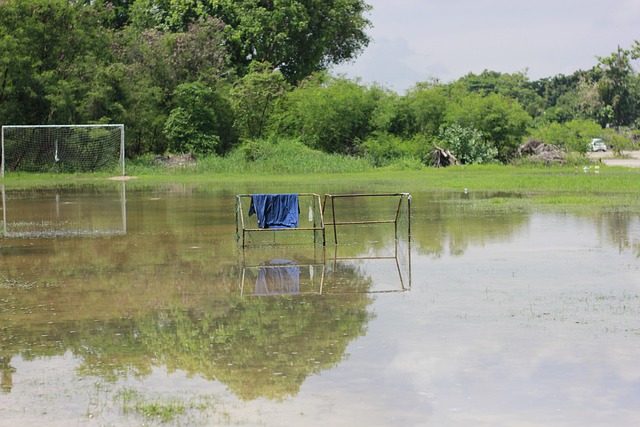 给予一定灵 给予一定灵