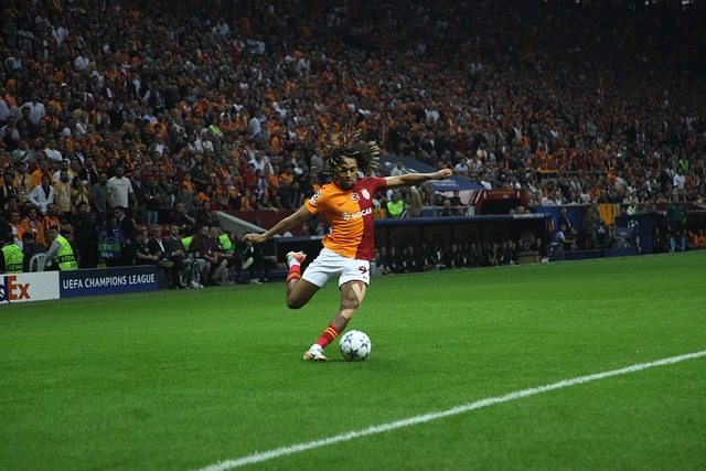 書寫屬於自 書寫屬於自