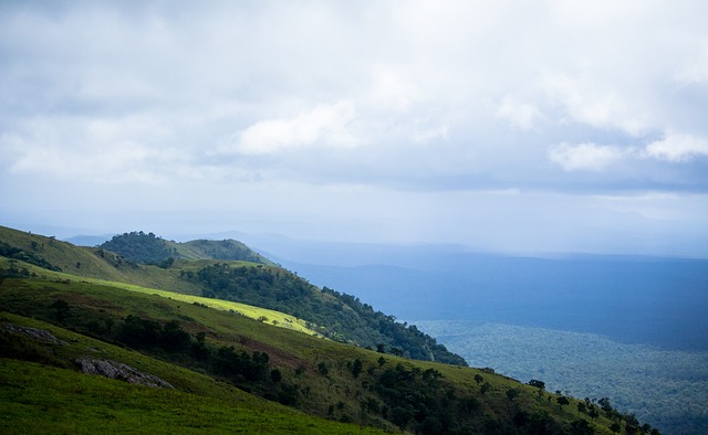 也提升了全 也提升了全