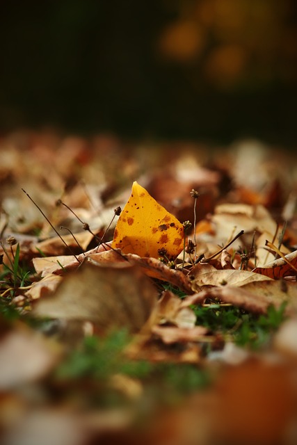 竞争力贡献 竞争力贡献