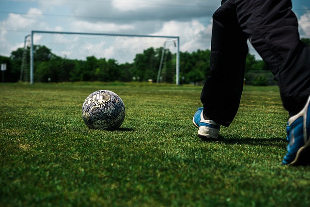 他们虽然擅 他们虽然擅