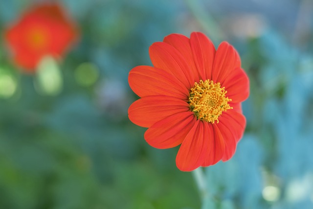 和决心打破 和决心打破